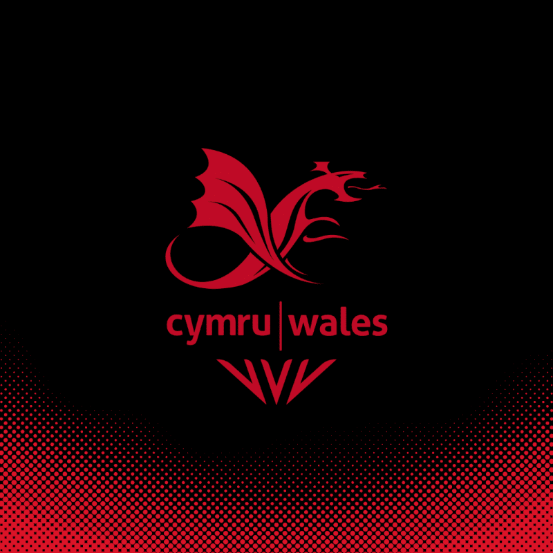 Team Wales House Support Role